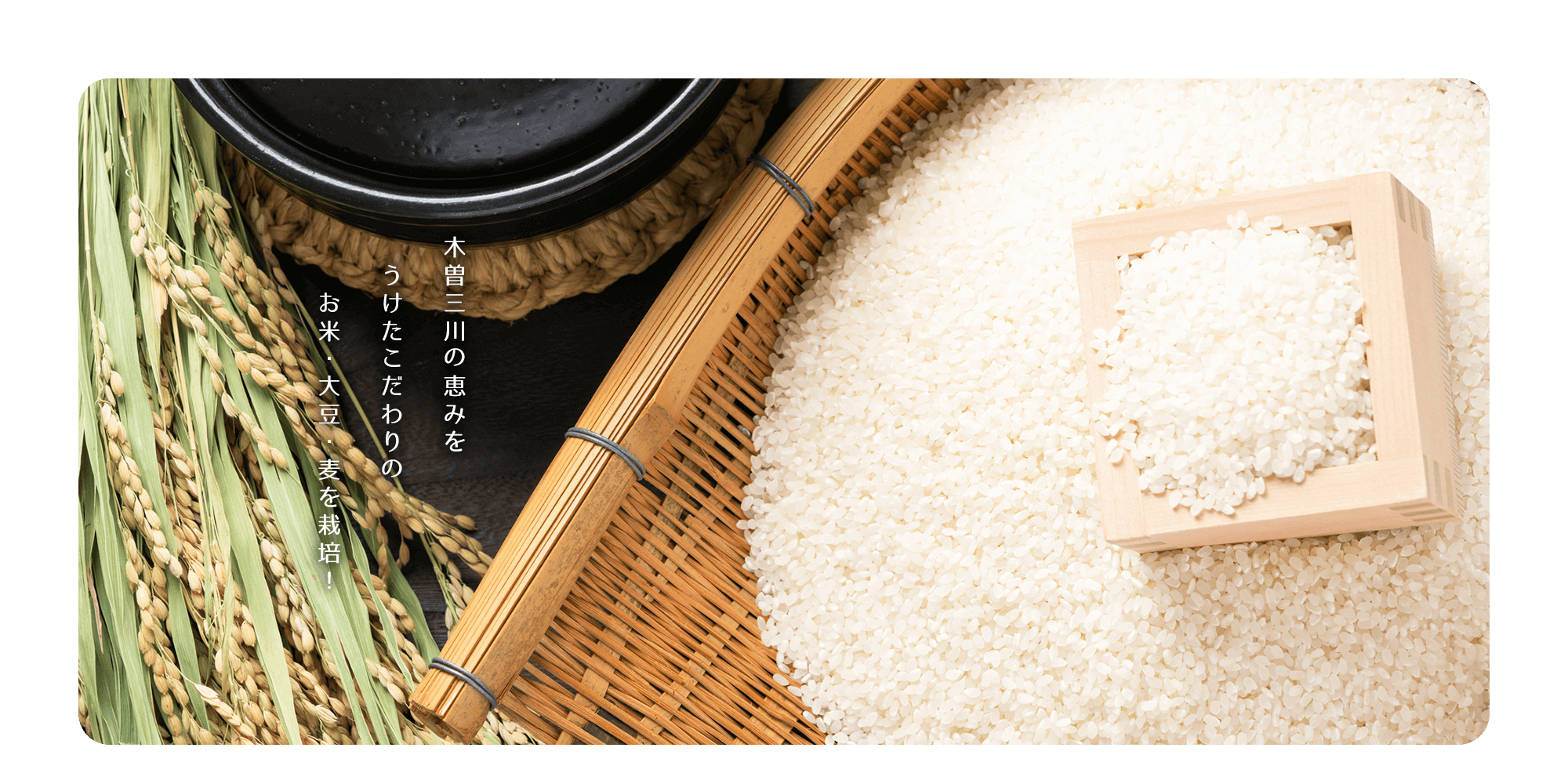 木曽三川の恵みをうけたこだわりのお米・大豆・麦を栽培！